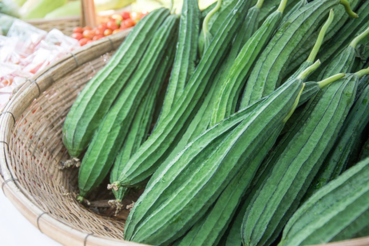 Rahasia Sehat dari Dapur: Manfaat Oyong yang Jarang Diketahui